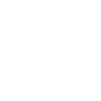 roger-vivier
