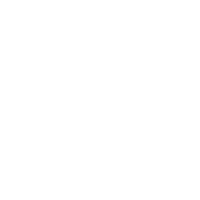 stussy